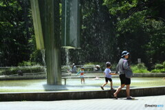 芹ヶ谷公園の噴水