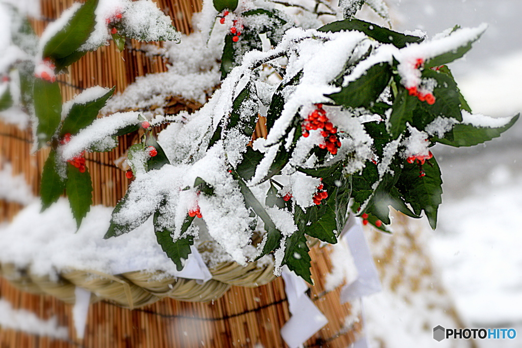 雪のあるお正月