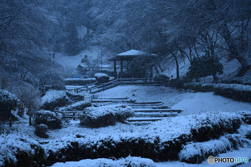 雪の薬師池公園