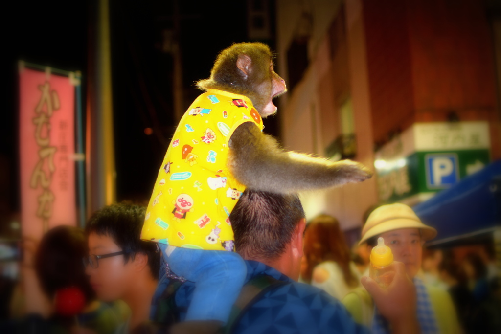 宵祭りを楽しむお猿さん