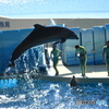 江ノ島水族館