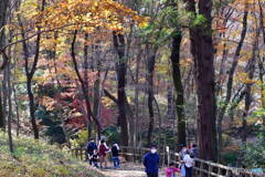 日曜日の薬師池公園