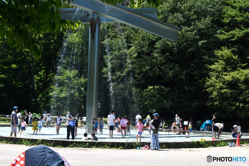 今日の芹ヶ谷公園