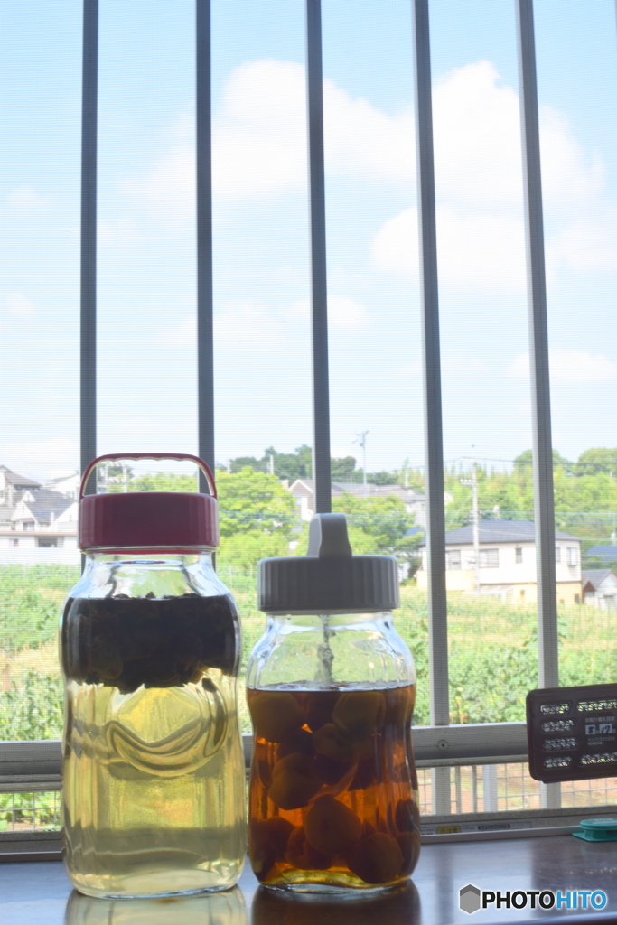 青空を眺める 我が家の梅酒