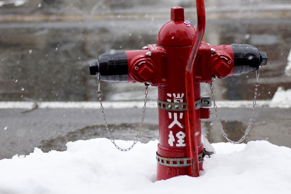 雪景色に似合うもの