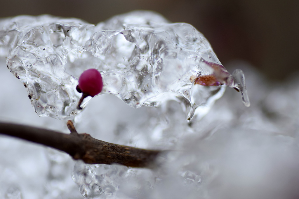 雪が解けて