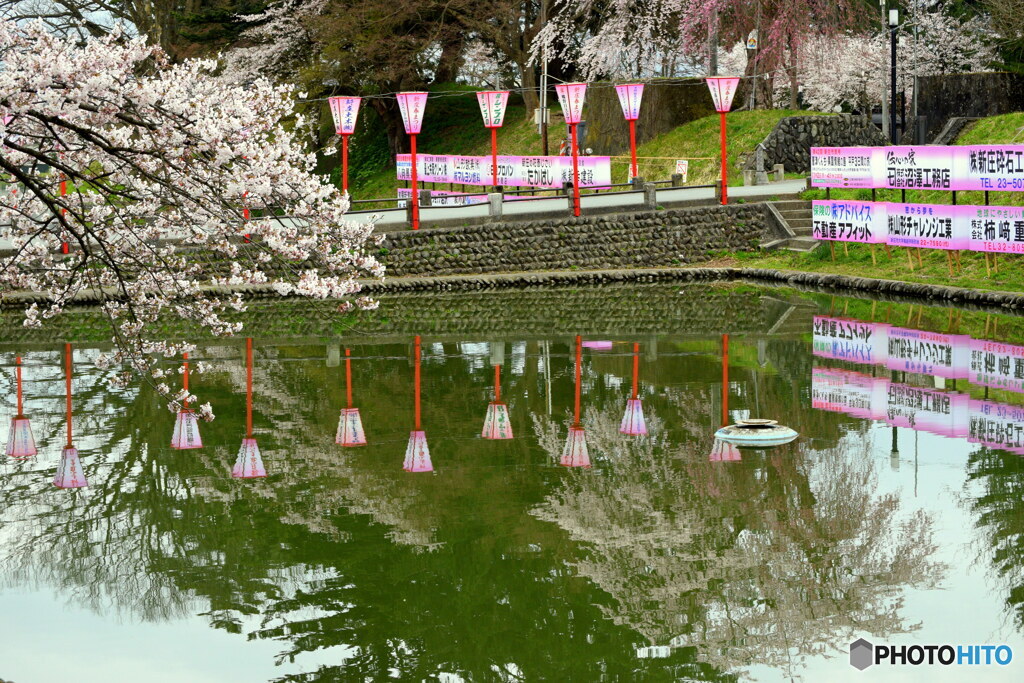 桜が満開の土曜日