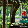 薬師池公園の売店
