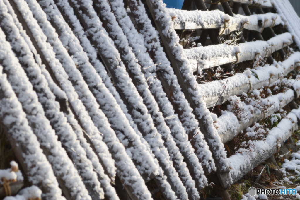 雪が恋しい