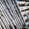 雪が恋しい