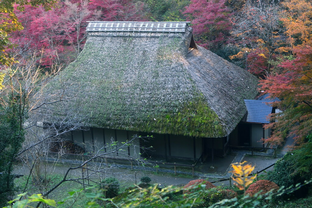 紅葉と古民家