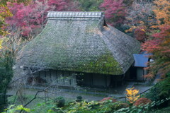 紅葉と古民家