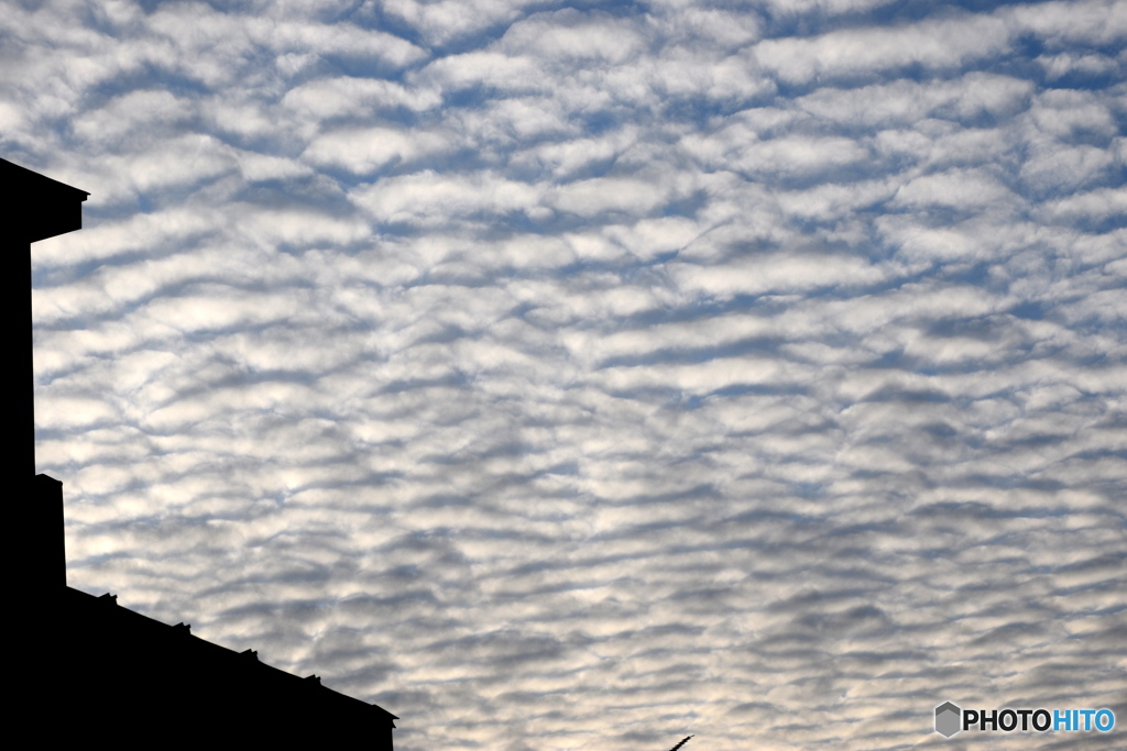 珍しい雲