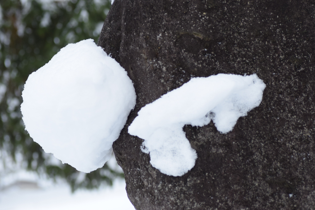 石に付いた雪