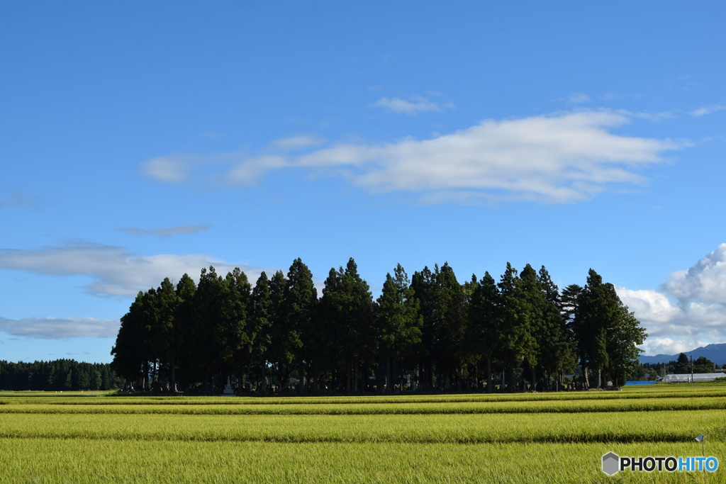 田舎