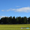 田舎