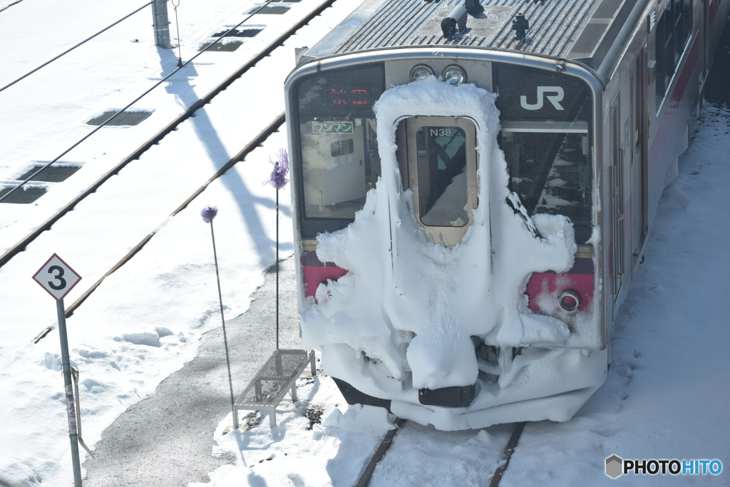 雪が降りました、この顔を見れば分るでしょ