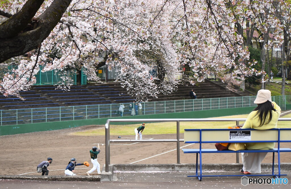 桜の下で