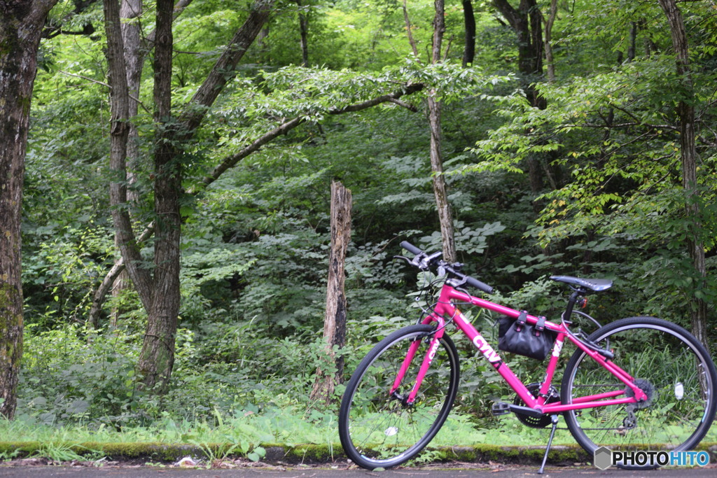 ピンクの自転車