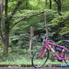 ピンクの自転車