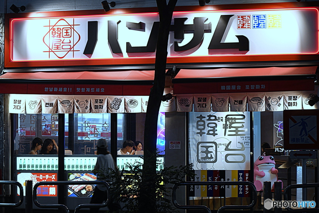 夜のお散歩