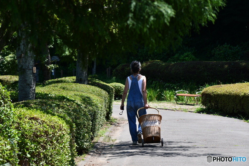 今日の薬師池公園