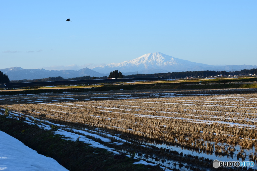 田園を見下ろす鳥海山