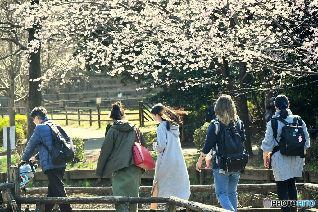 お散歩する人たち