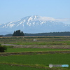 今朝の鳥海山