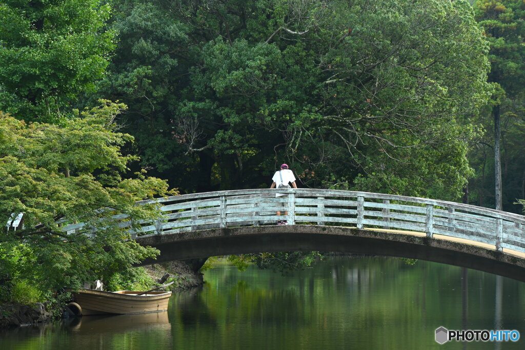 薬師池公園