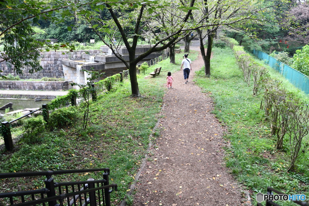 忠生公園(おまけ）