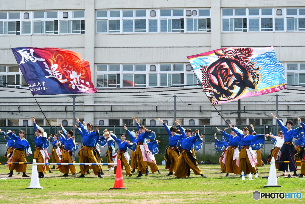 法政大学 よさこい サークル