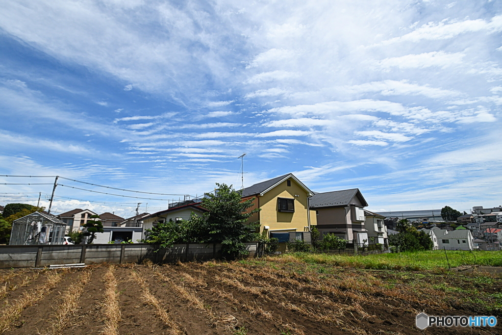 今日の雲