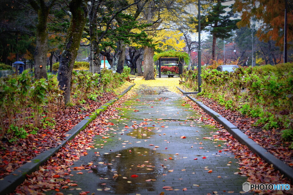晩秋の公園
