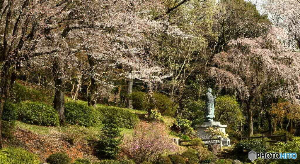 今日の宏善寺