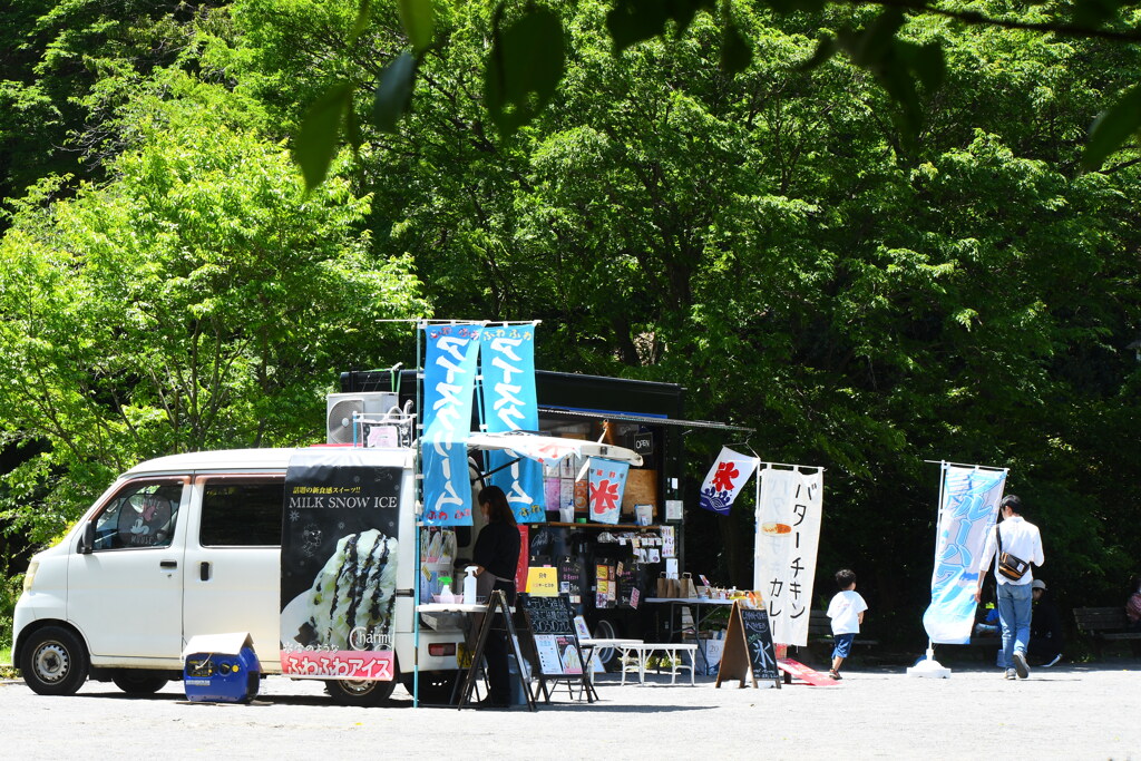 今日の 芹ヶ谷公園