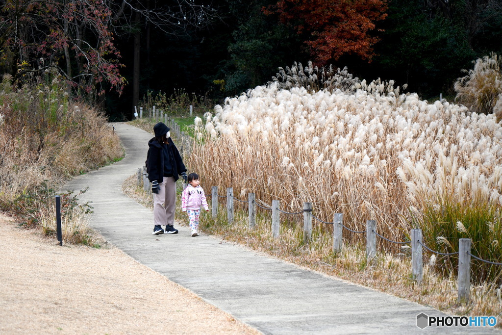 お母さんとお散歩