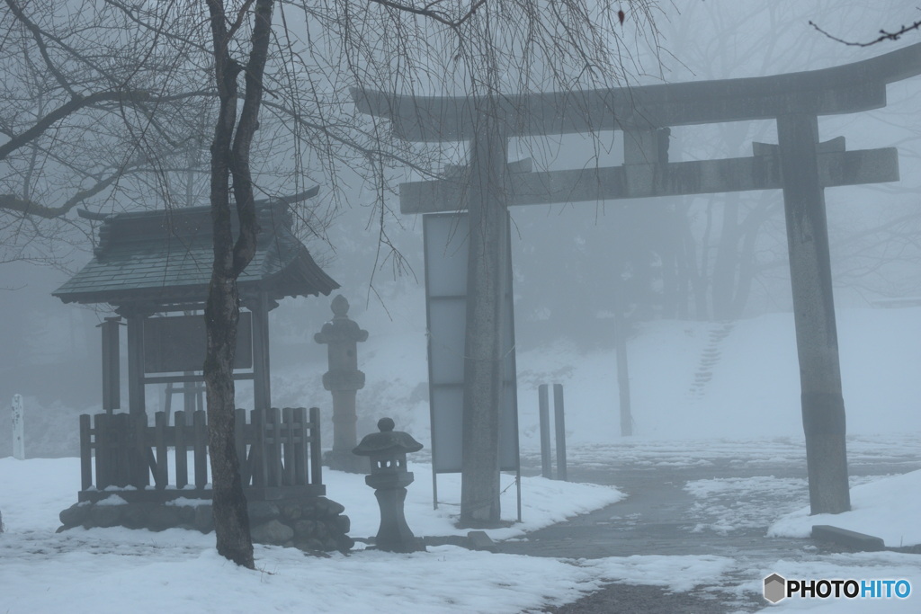 1月24日 霧の朝－１