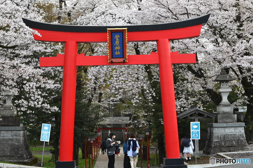 今日の菅原神社