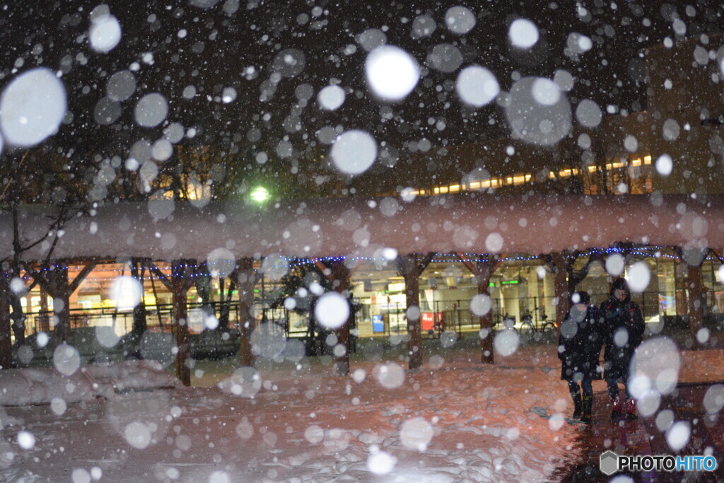 雪の中のカップル