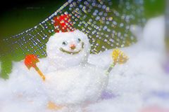 雪だるまとイルミ