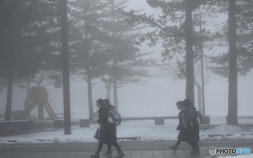 霧の中 おしゃべりしながら通学