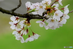 楽しませてくれてありがとう！