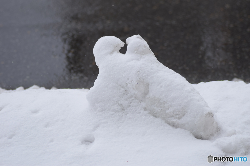 あら、そんな所で何してるの？