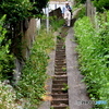 坂道