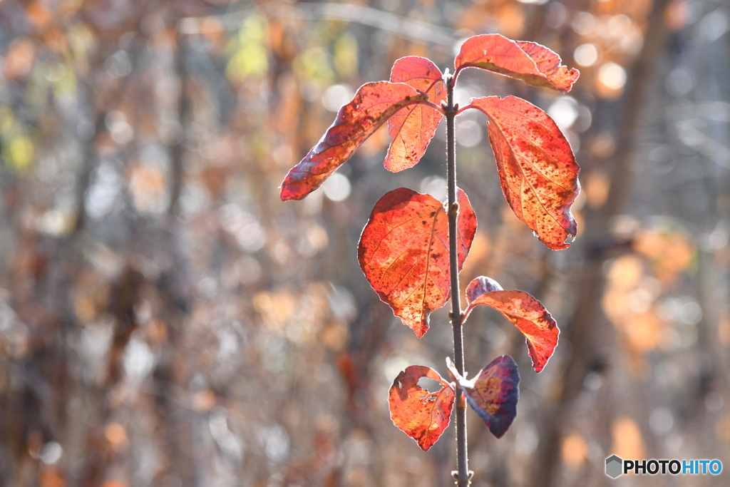雨上がりの公園