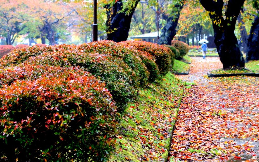 傘さして散歩する人