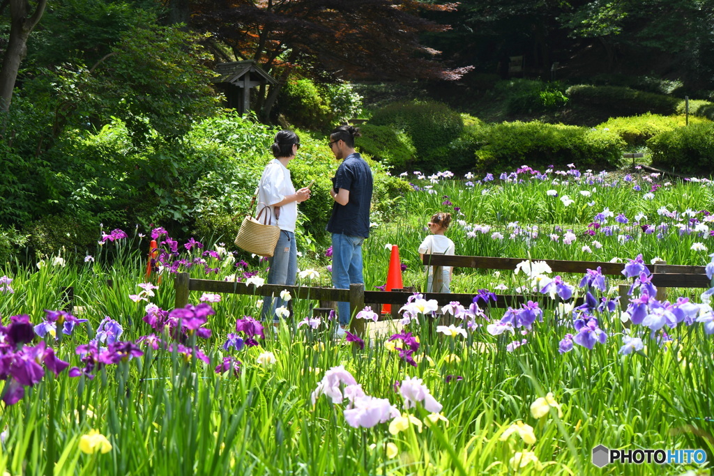 家族でお花見