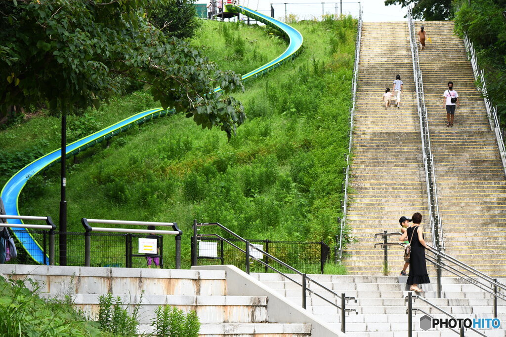 芹ヶ谷公園（大型すべり台）