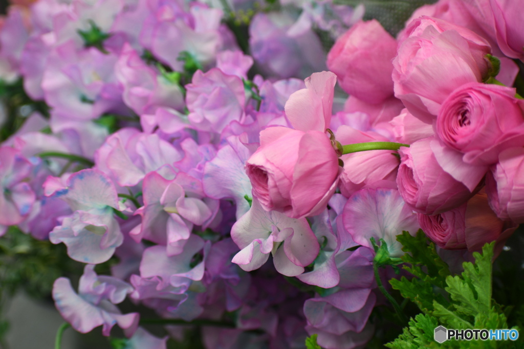 お花屋さんのお花